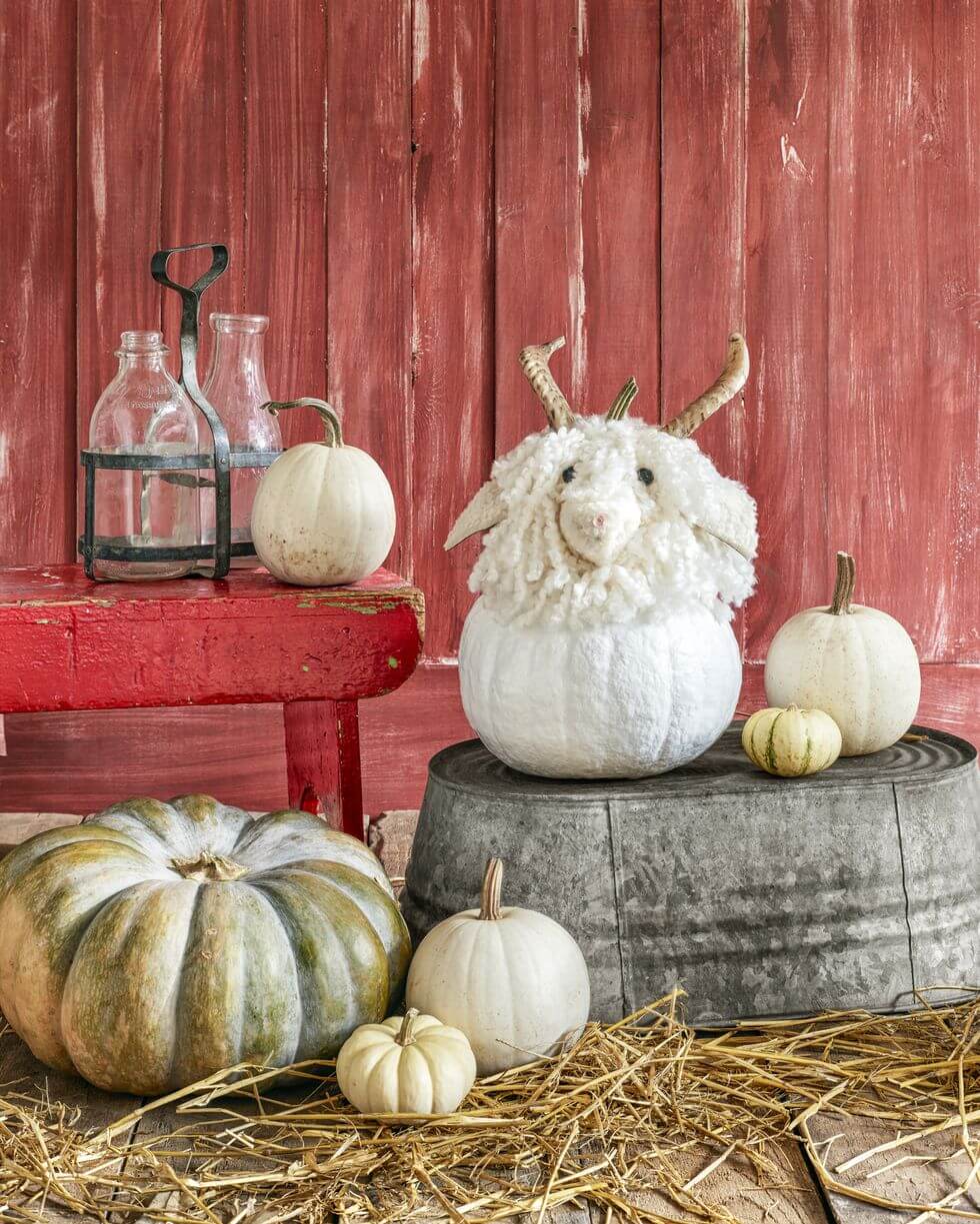 44-Sheep Pumpkin
