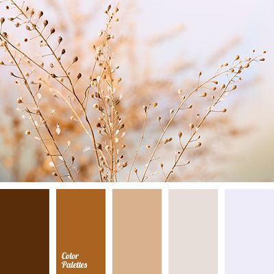 11 a professional way to choose the right color format in your interior