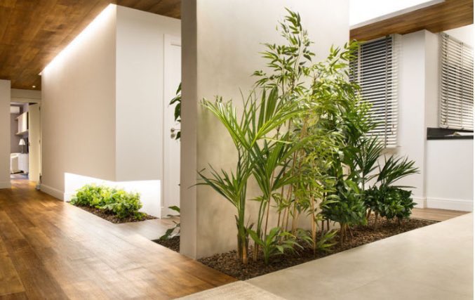 Biophilic Style: How to integrate it into your home design