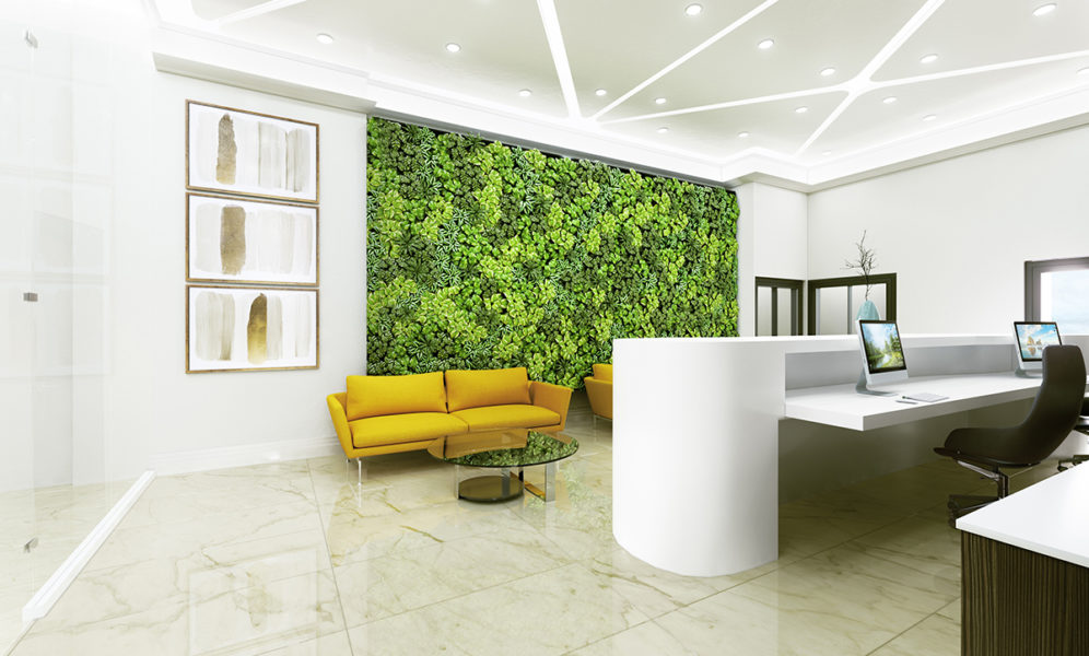 Biophilic Style: How to integrate it into your home design