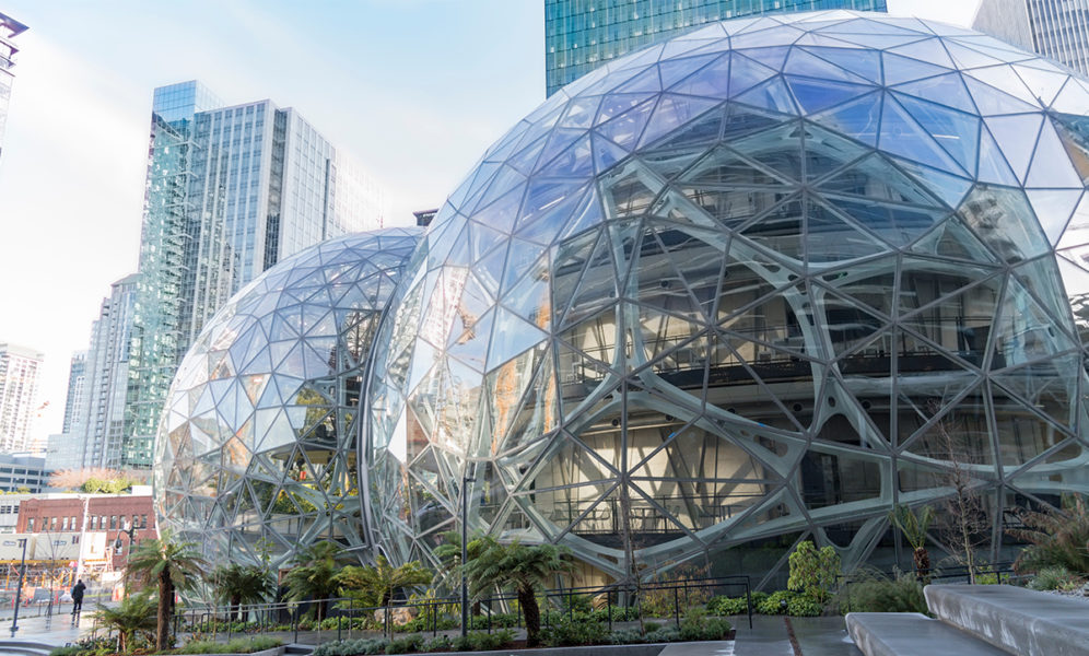 Biophilic Style: How to integrate it into your home design