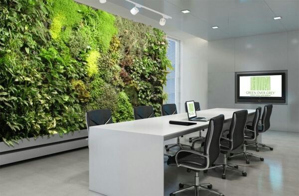 Biophilic Style: How to integrate it into your home design