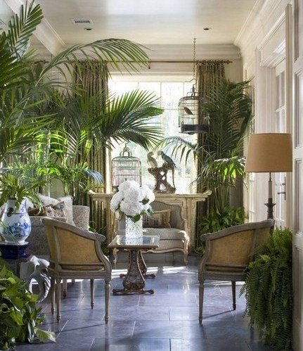 Biophilic Style: How to integrate it into your home design