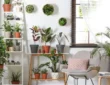 The Art of Incorporating Houseplants into Your Decor