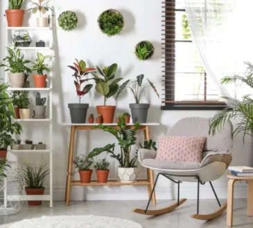 The Art of Incorporating Houseplants into Your Decor