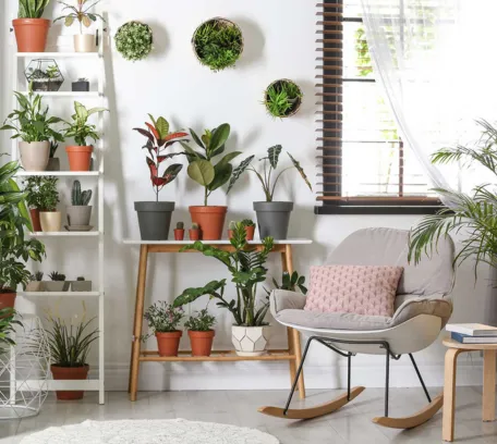 The Art of Incorporating Houseplants into Your Decor