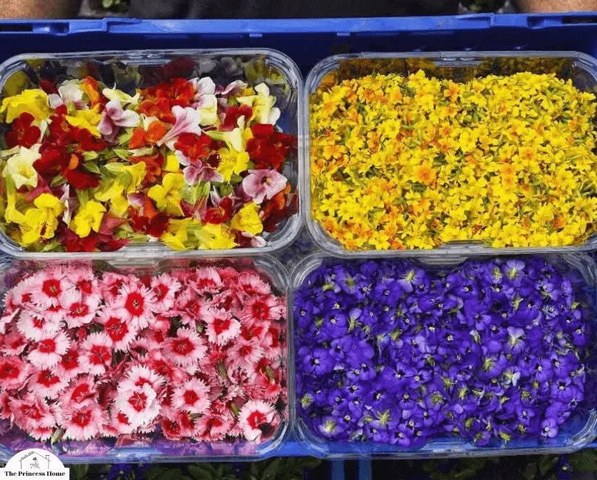 Edible Flower Garnishes: