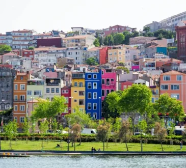 The Role of Color: The Most Powerful Tools in Interior Design