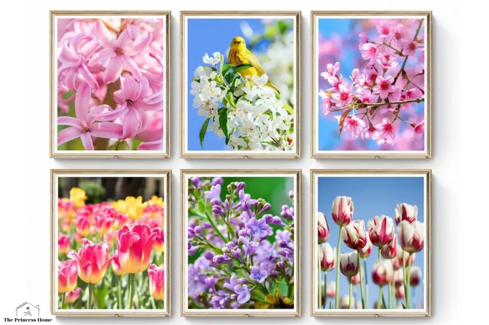 Spring Landscapes: