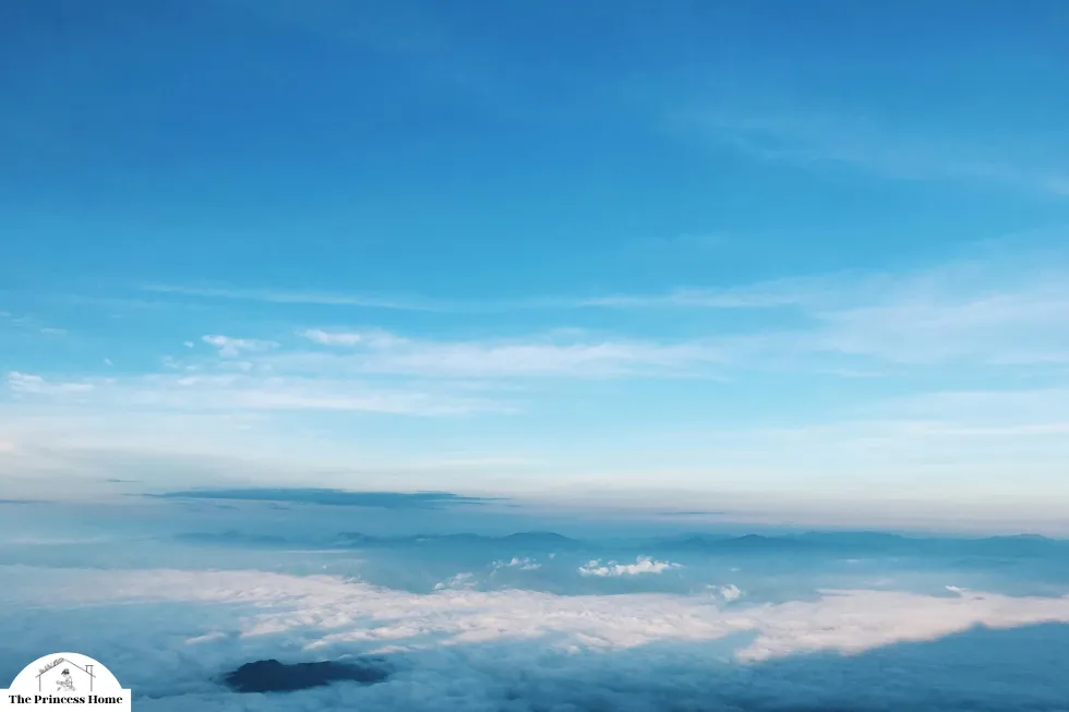 The Influence of Color on Emotions: Blue: