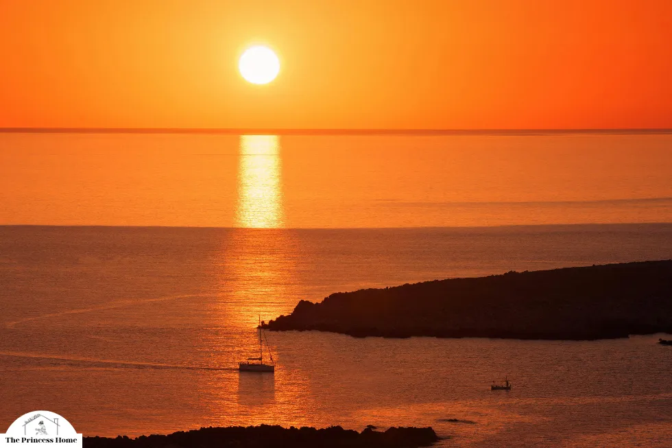 The Influence of Color on Emotions: Orange: