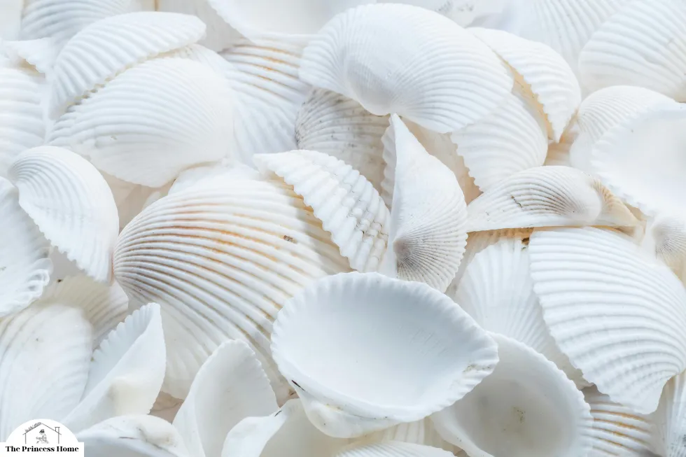 The Influence of Color on Emotions: White