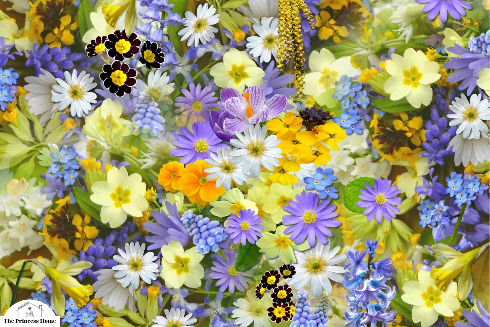 Creating Mood and Atmosphere: