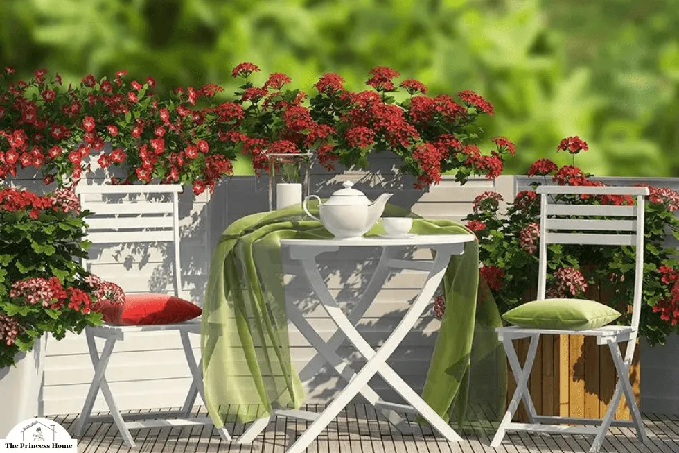 Outdoor Dining Setup: