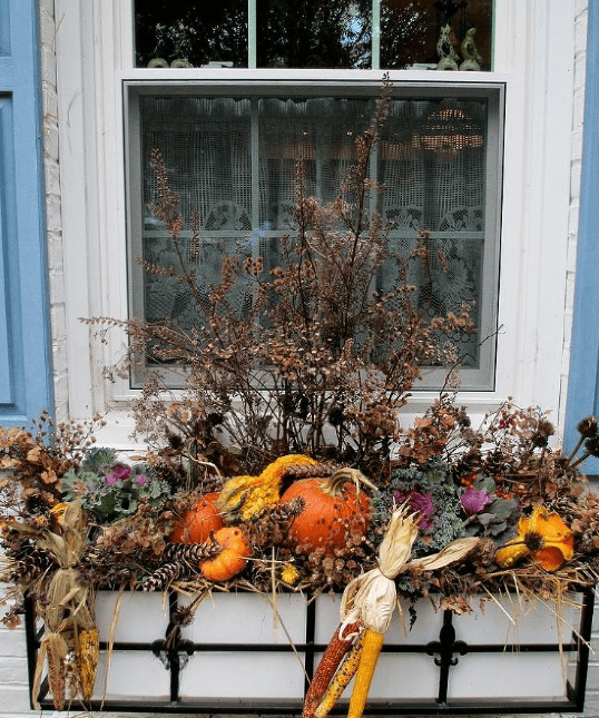 13 Fall Box Ideas for Your Windows: 