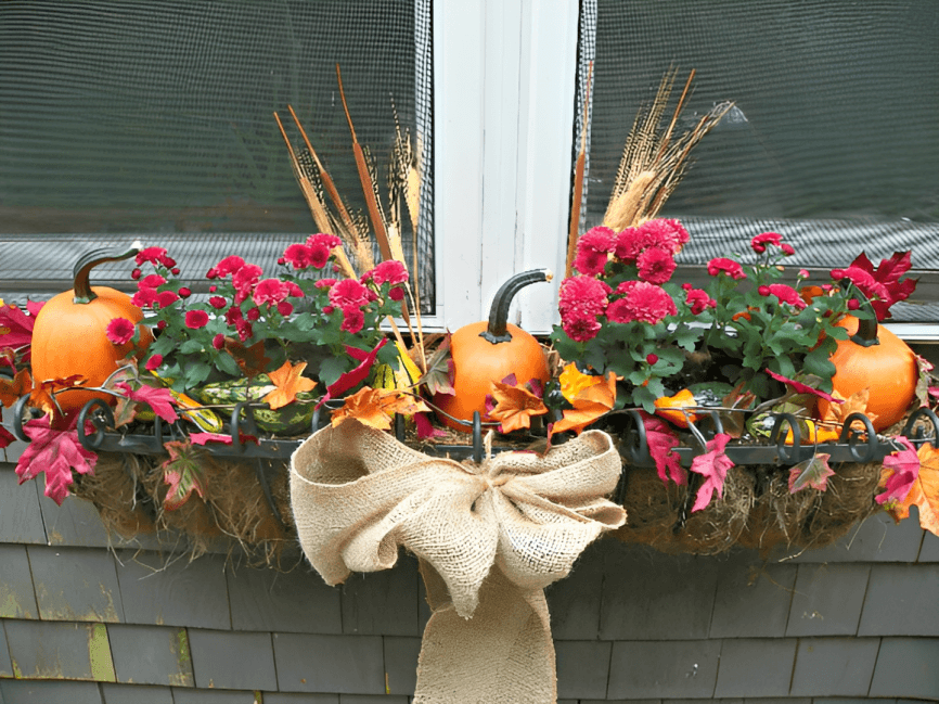 19-Fall Box Ideas for Your Windows: 