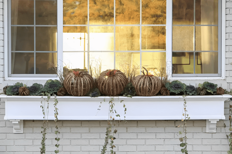 23 -Box Ideas for Your Windows: 