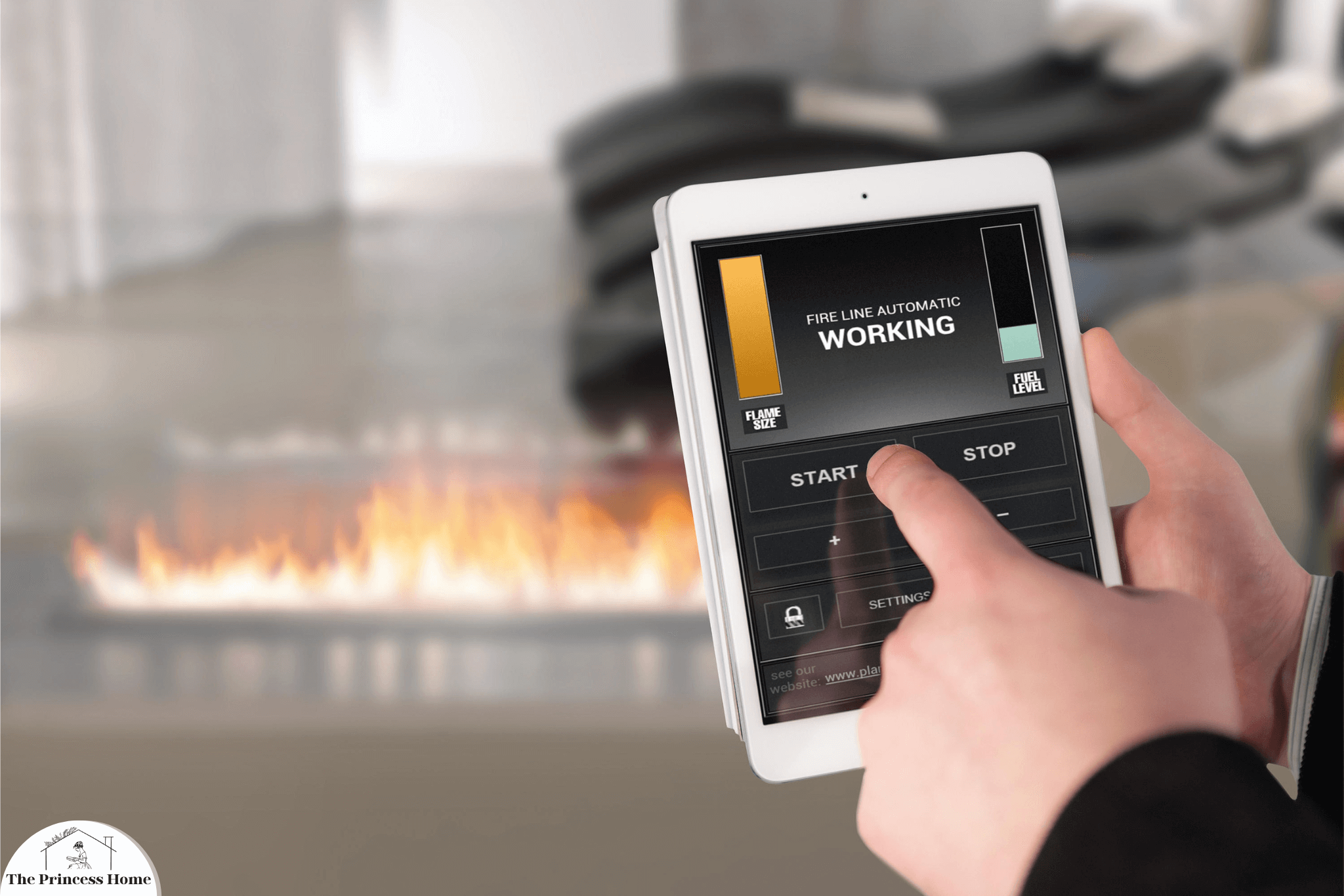 Realistic Flame Simulation: