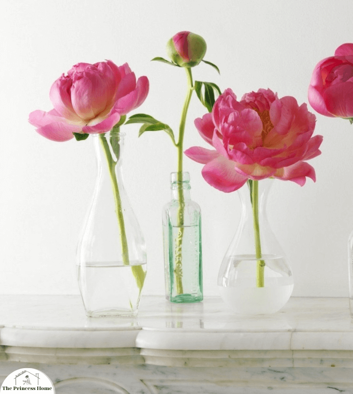 7.Single Stem Elegance: