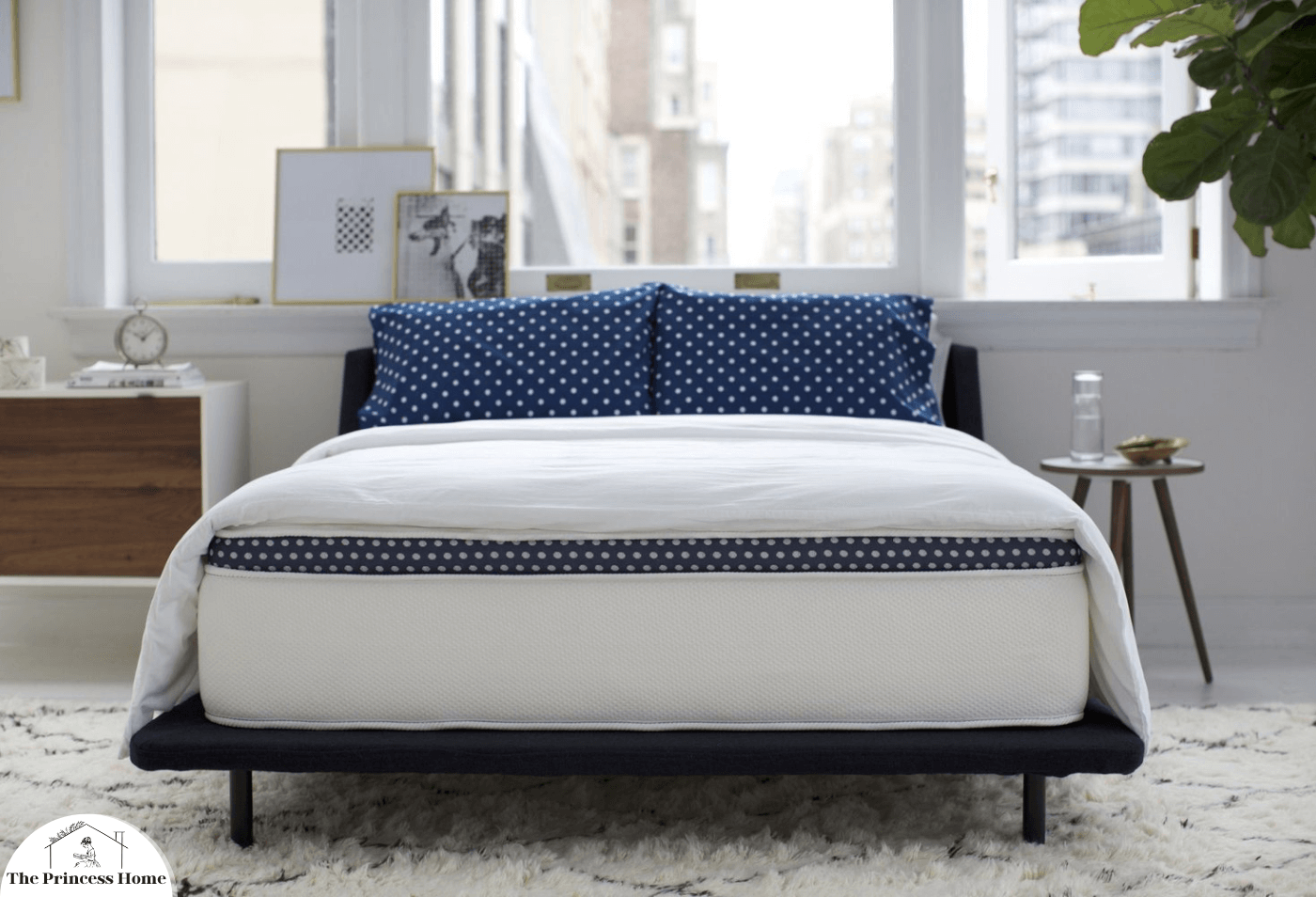 Assess Motion Transfer: