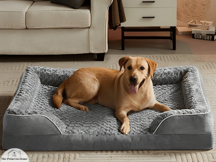 20. Pet-Friendly Features