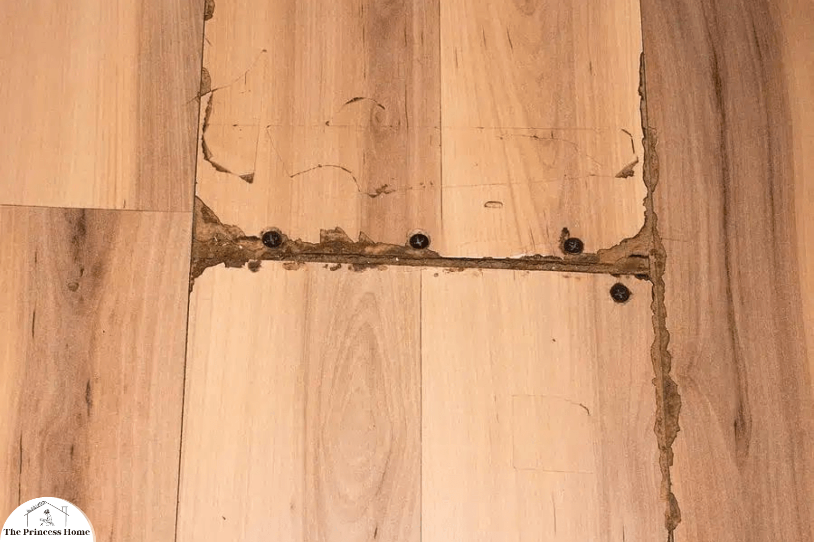 C. Floor Insulation: