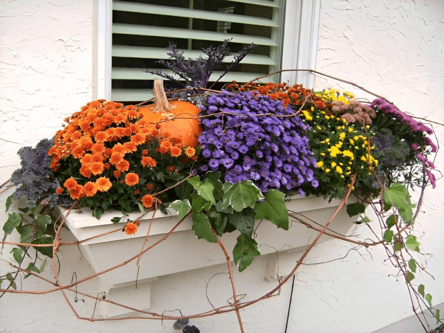 18-Fall Box Ideas for Your Windows: 
