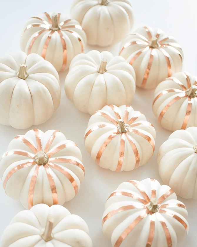 COPPER STRIPED PUMPKINS