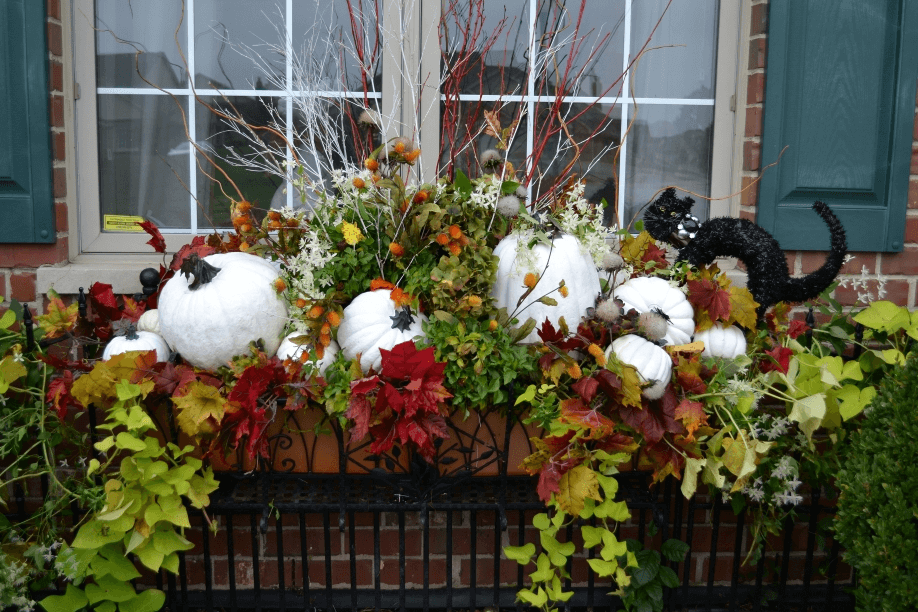 12 Fall Box Ideas for Your Windows: 