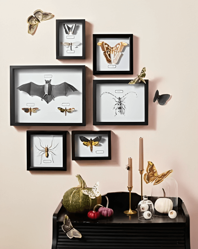  9.Bug Art Display