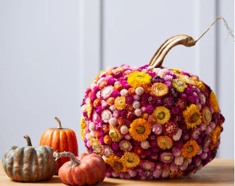 2-Floral Pumpkin
