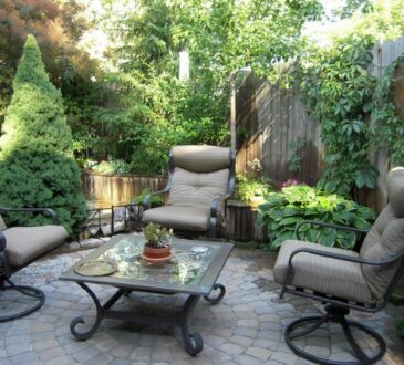 Biophilic Style best ideas to integrate it into home design