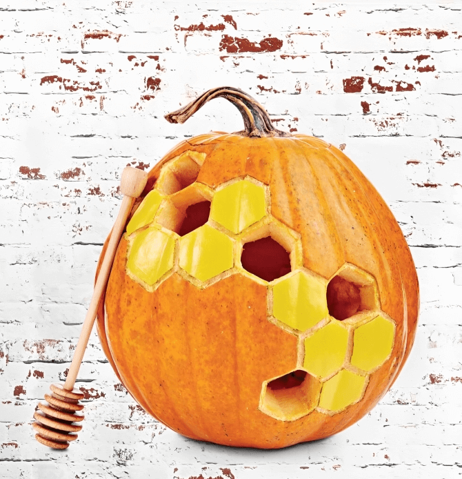 39-Pumpkin Honeycomb 