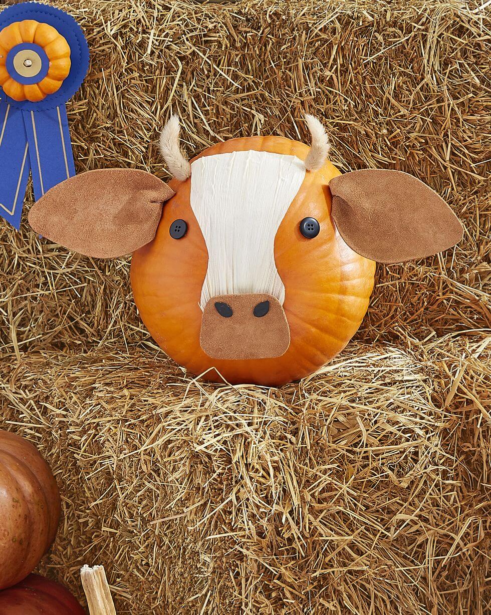 47-Cow Pumpkin
