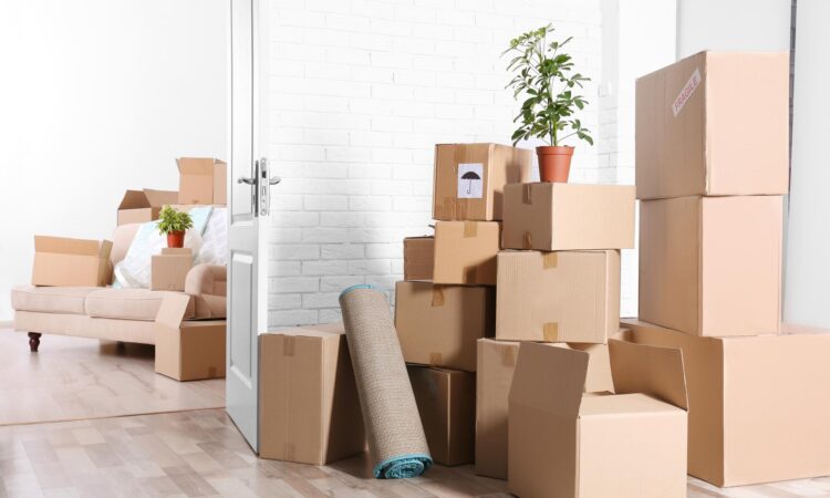 Important 20 Tips When Furnishing a New Home