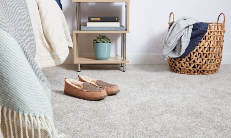 The best 15 steps to get rid of the bad smell of carpets