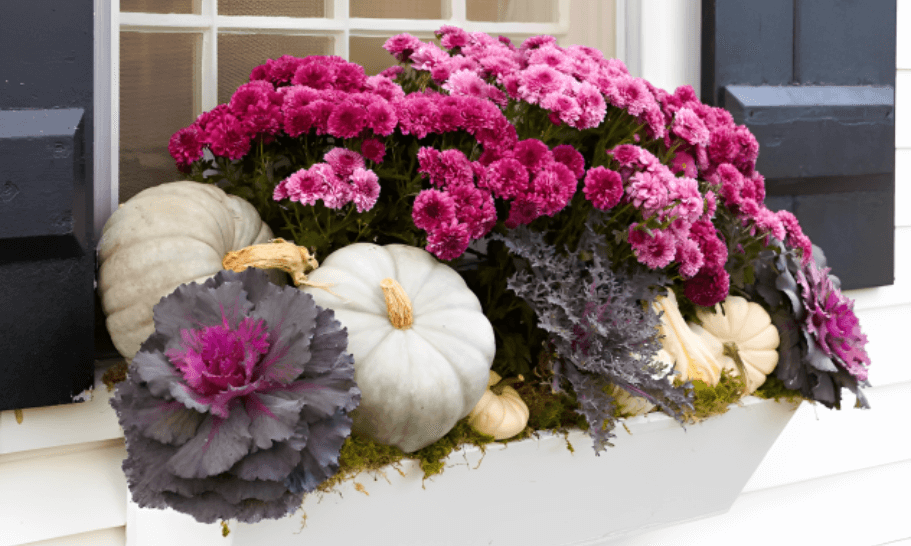 Fall Box Ideas for Your Windows: Add Charm to Your Home