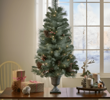 How to Choose the Perfect Christmas tree on top of table