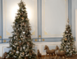 The Customs and Traditions Associated with the Christmas Tree