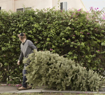 How to Recycle Your Christmas Tree After the Holiday Season