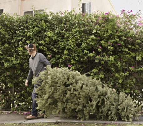 How to Recycle Your Christmas Tree After the Holiday Season