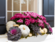 Fall Box Ideas for Your Windows