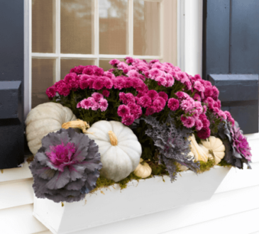 Fall Box Ideas for Your Windows