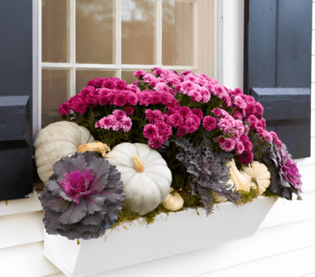 Fall Box Ideas for Your Windows
